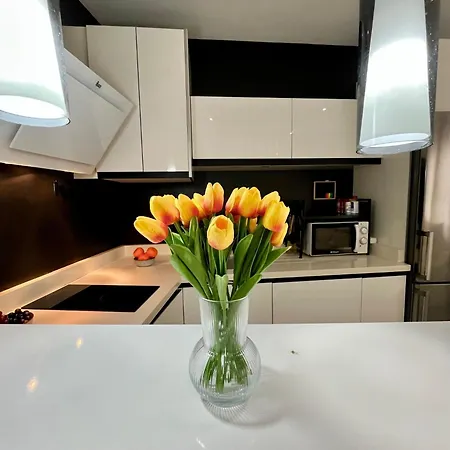 Apartamento Gatu Alquiladores 